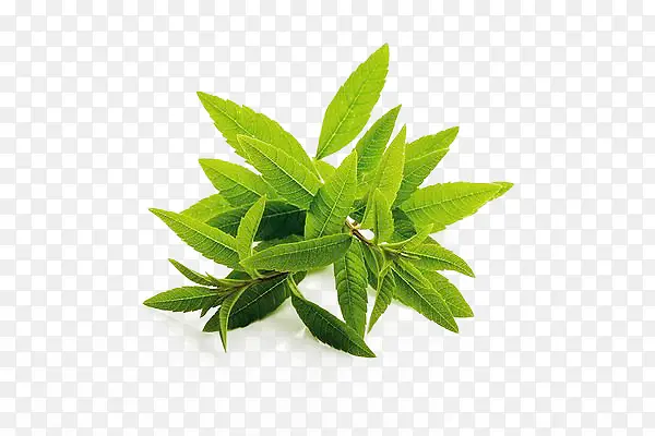 ���޲��������-������