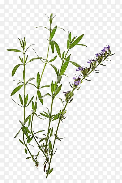 ���޲��������-������