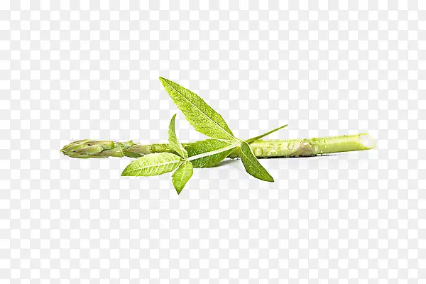 ���޲��������-������