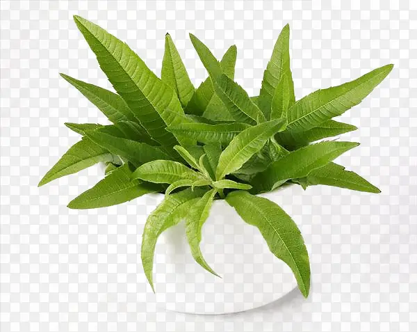 ���޲��������-������