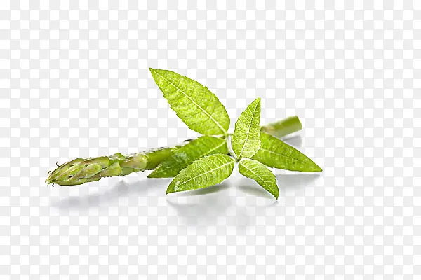 ���޲��������-������