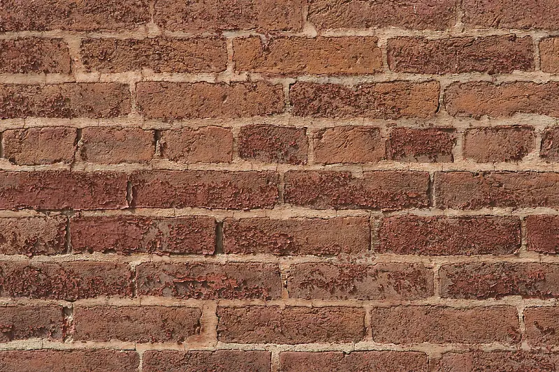 ��ɫǽ�ڱ���-������