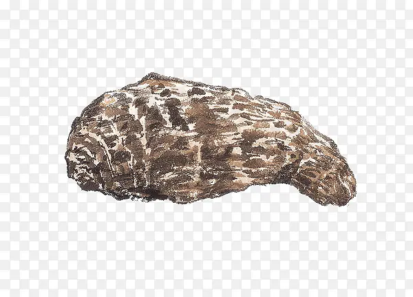 �ֻ���ͷ-������