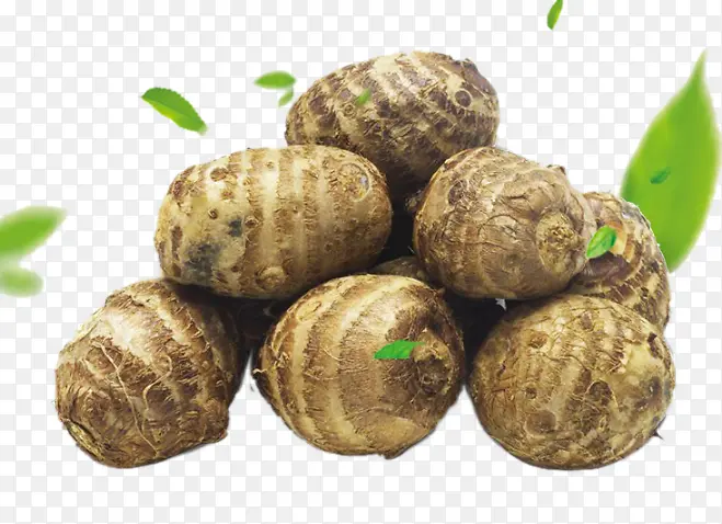 ȫ�Ҹ���ͷ�߲�-������