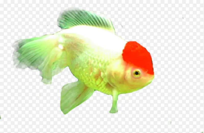 ��Ӱˮ���С����-������