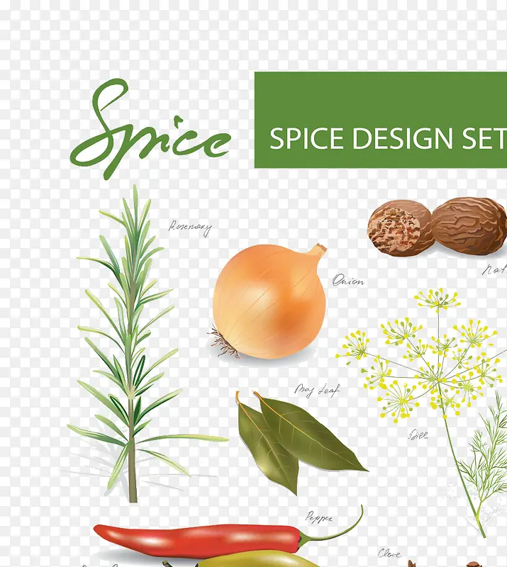 ����ʳ�� ʸ��ͼ-������