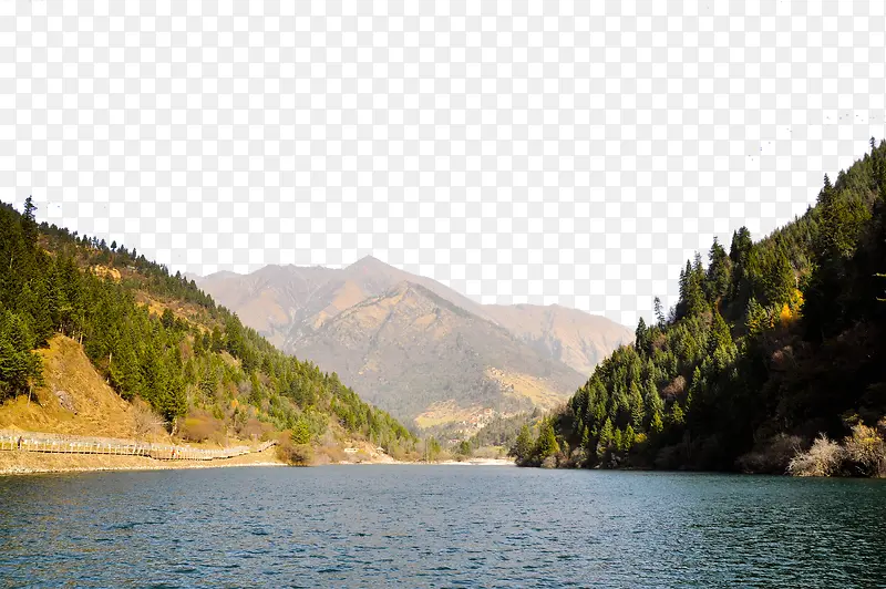 �Ĵ���ű�������-������