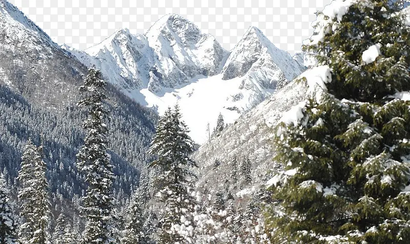 ��ű�������-������