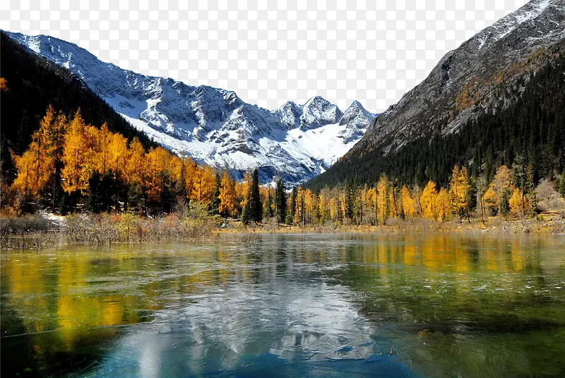 ���������ű���-������