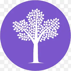 ��ƽ��ͼ���ز�-������