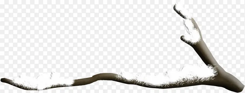 ��ѩ������֦-������