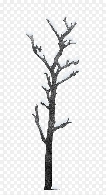 ��ѩ������֦-������