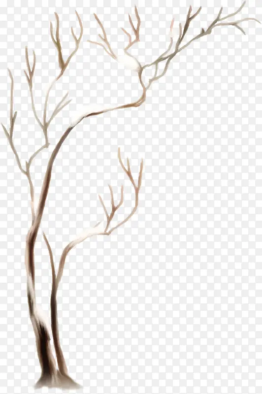 ��ѩ������֦-������