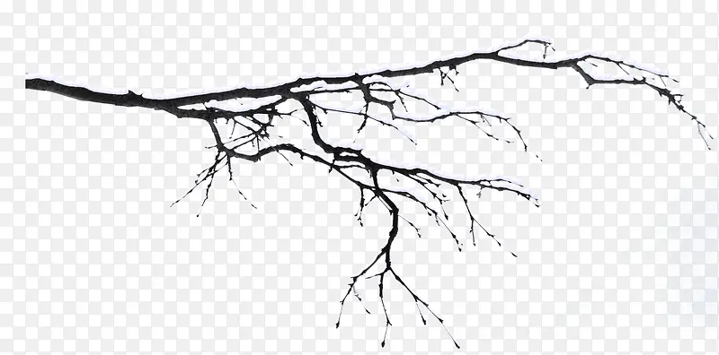 ��ѩ������֦-������