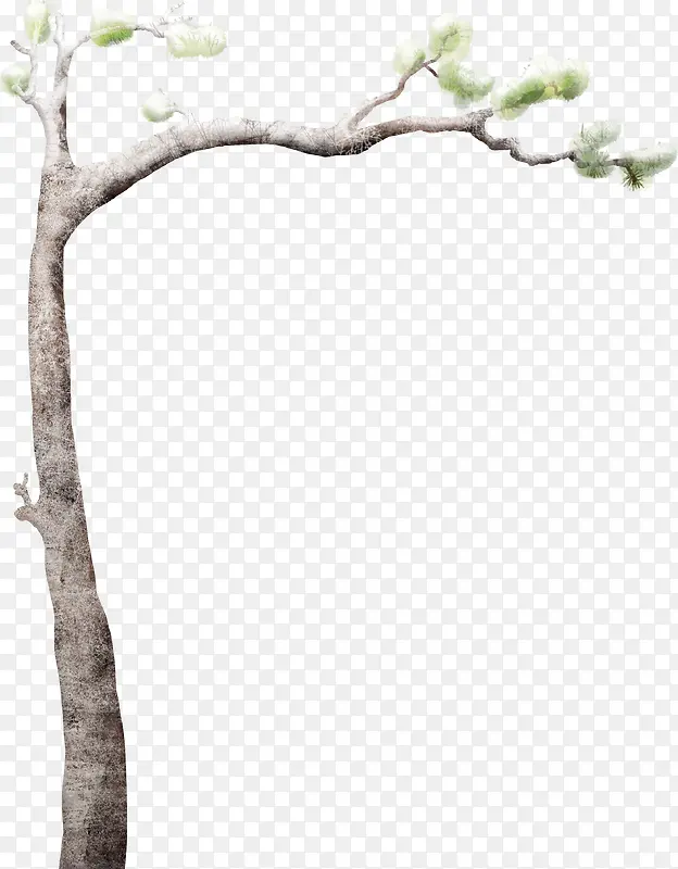 ��ѩ������֦-������