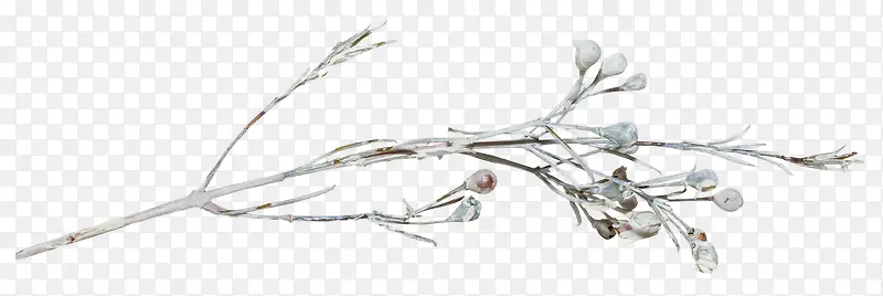 ��ѩ������֦-������