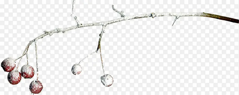 ��ѩ������֦-������