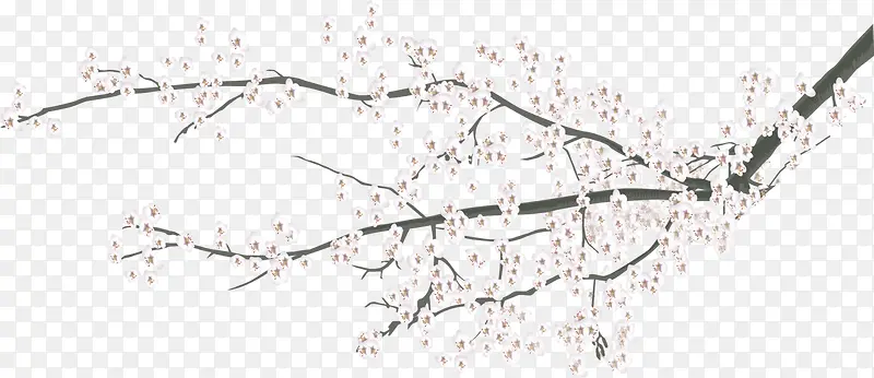 ÷��ѩ��-������