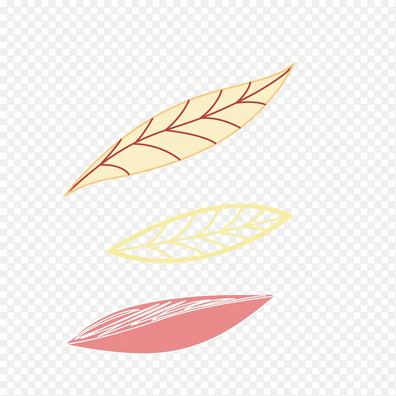 ���װ��Ҷ��-������