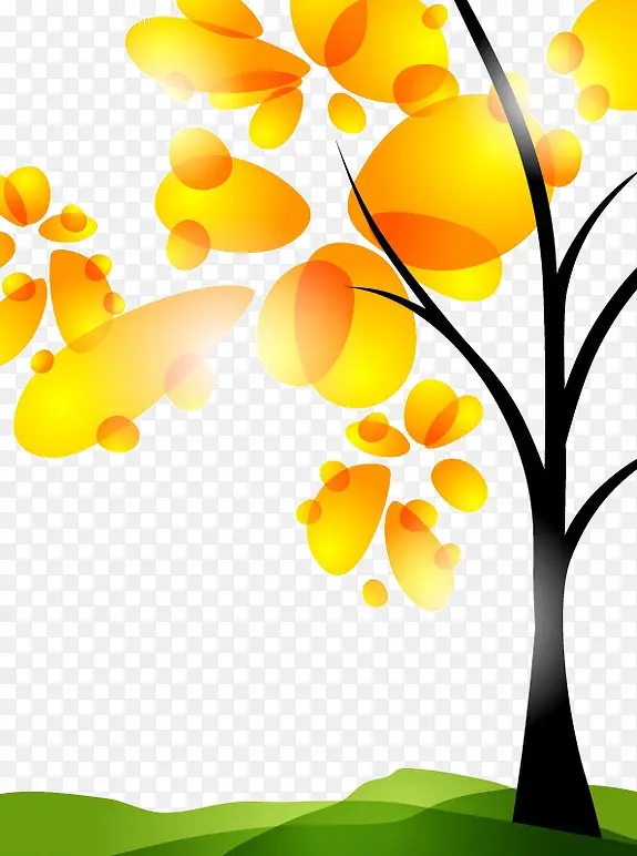 ��ͨâ����-������