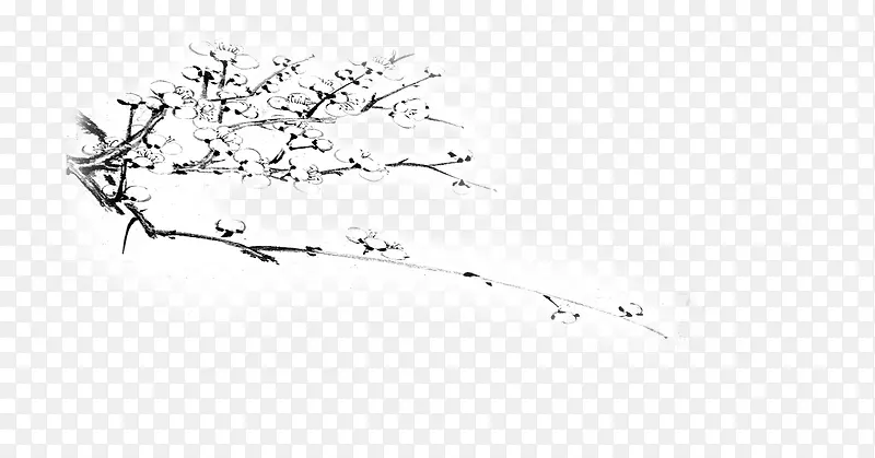 ��ɫ��֦ˮī��ҽ��-������