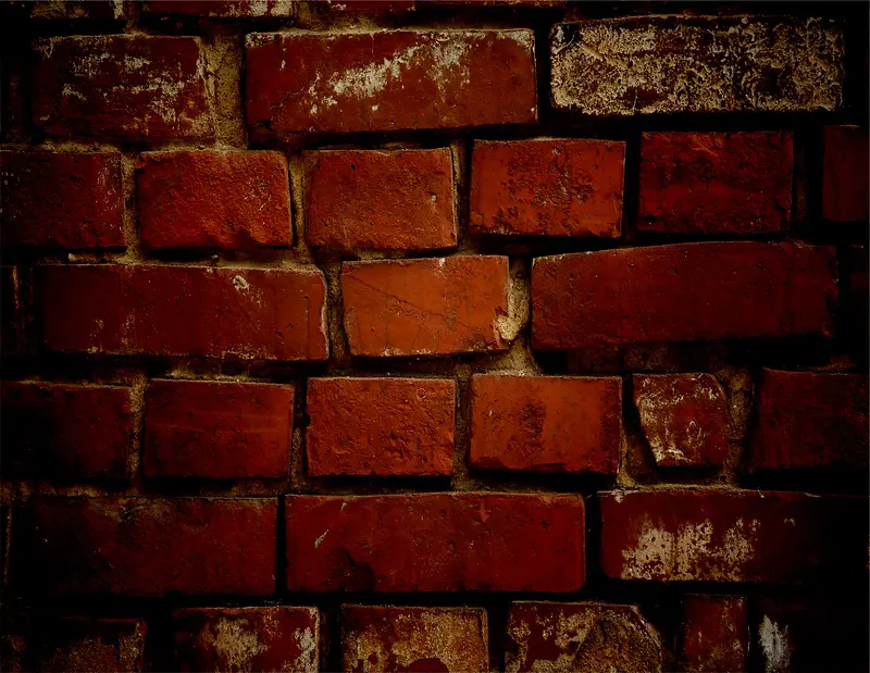 ��שǽ�ڱ���-������