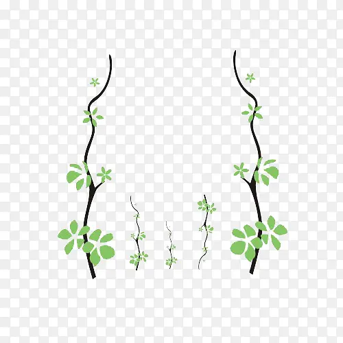 С����ֲ��-������