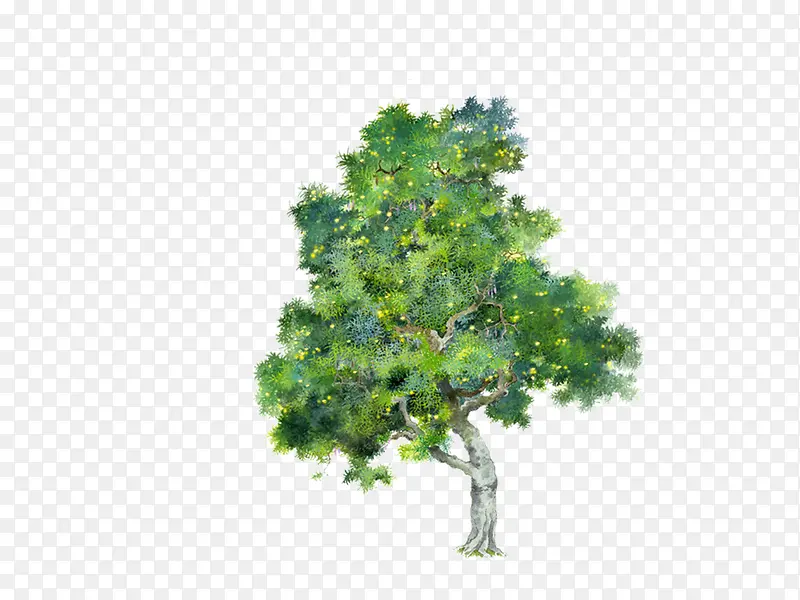 ��-������