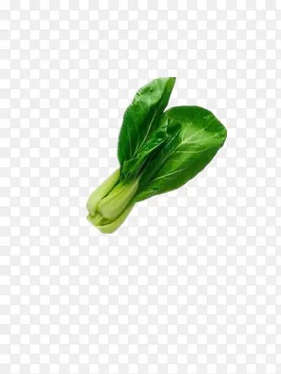 һ���Ϻ���-������