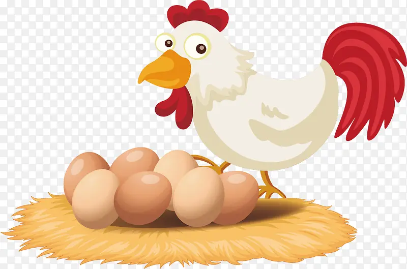 ��ͨ�����뼦����-������