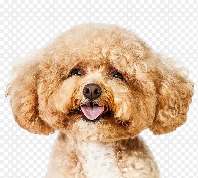 ������̩�Ϲ�-������