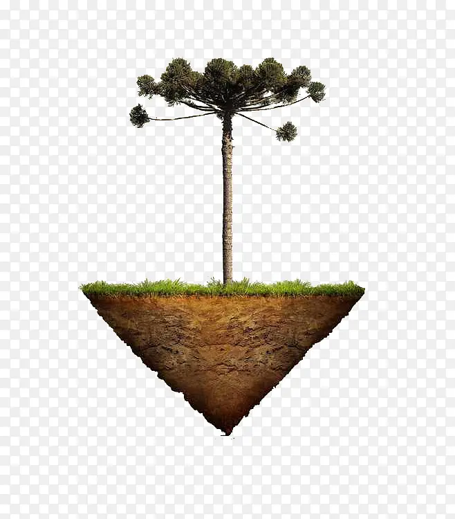 С��-������