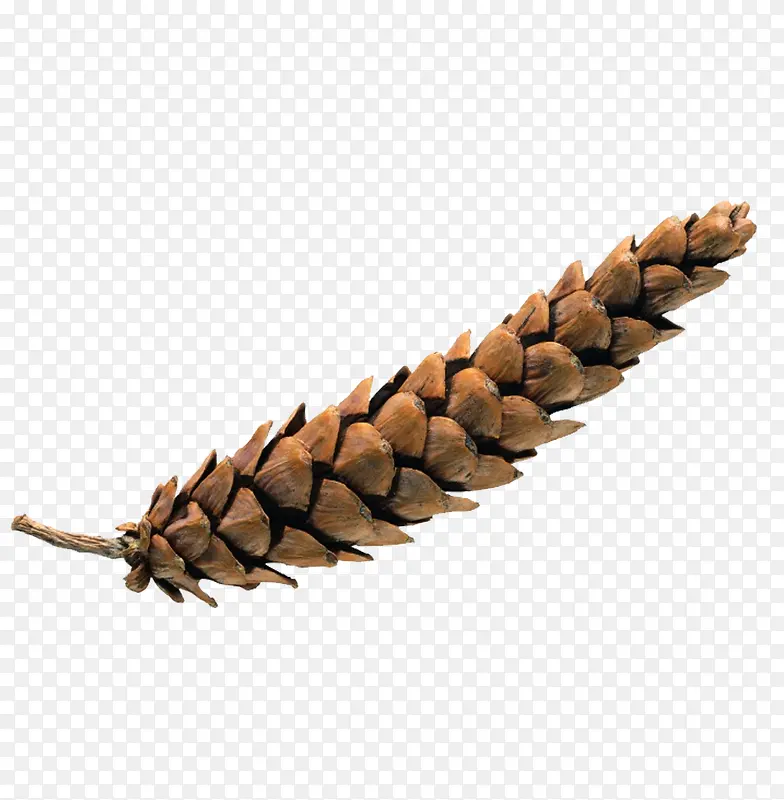 һ������-������