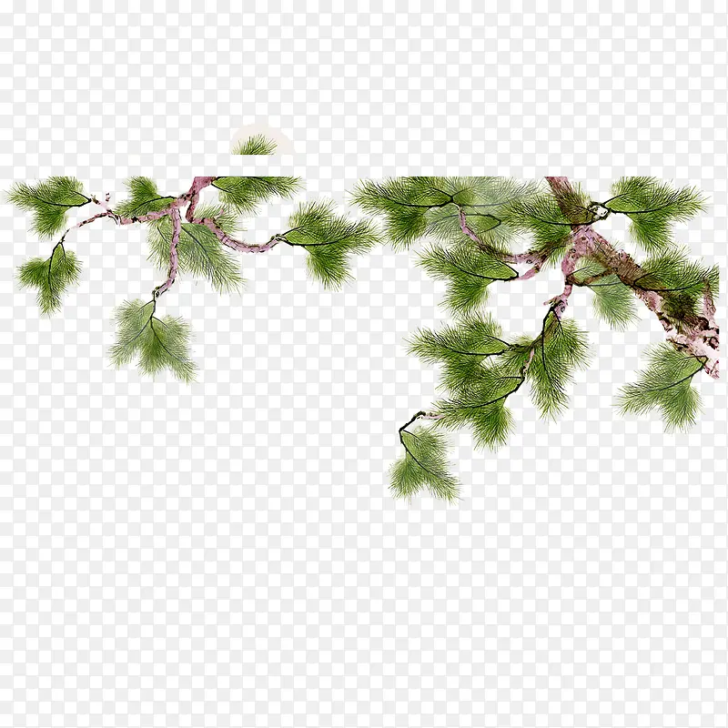 ��֦-������