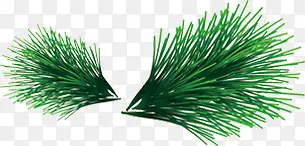 ��֦-������