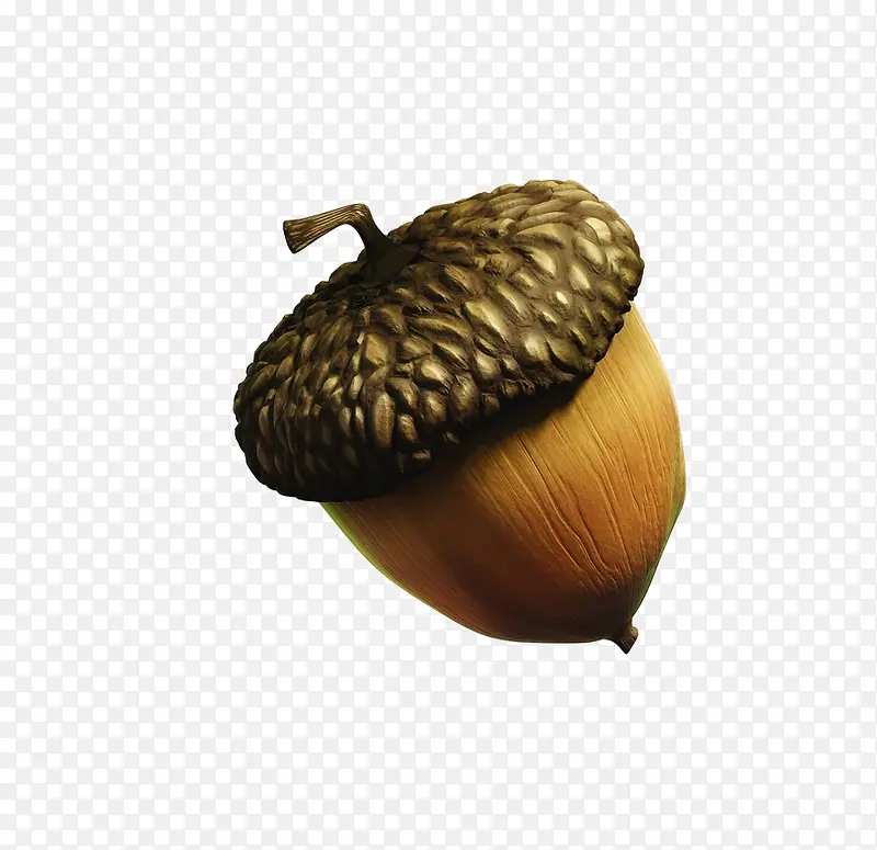 �����ɫ����ʳ��-������