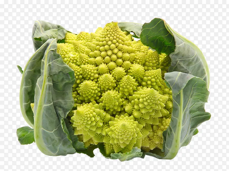 �ɰ��ı�����-������