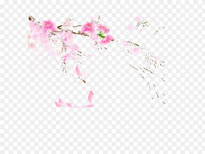 ��ɫ÷��-������