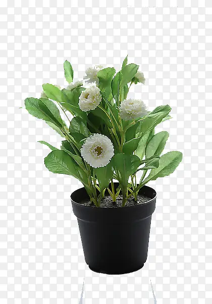 �����ʻ�����ز�-������