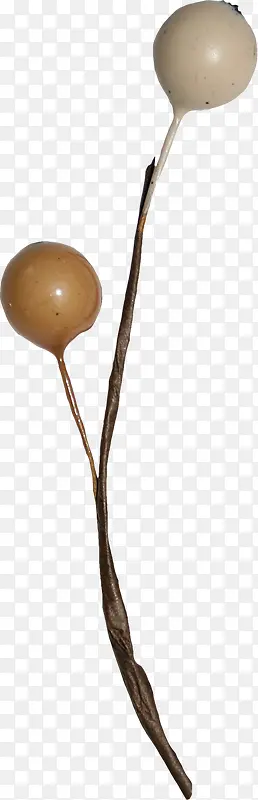 ʥ����װ����֦�ز�-������