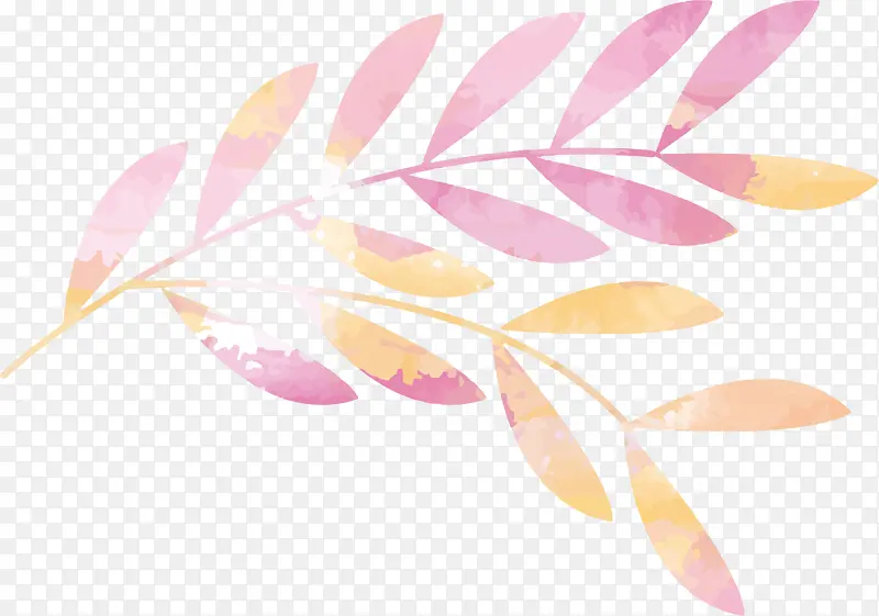 ��ɫˮ��������֦-������