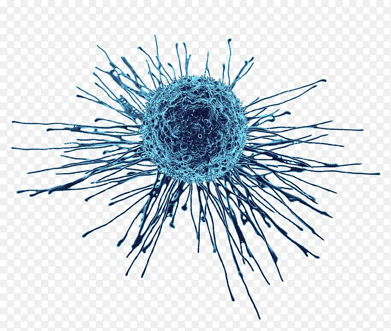 ��֢ϸ������廭-������