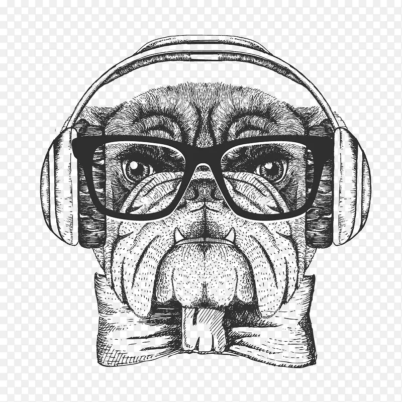 ��ͨ�ɰ�С����װ����ƶ���ͷ��-������