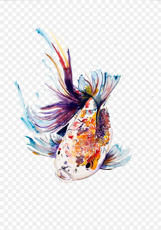 ��ɫ������-������