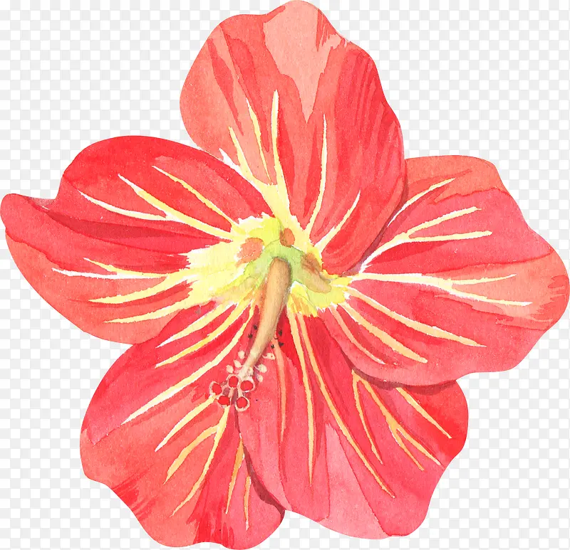 ˮ�ʺ�ɫ����-������