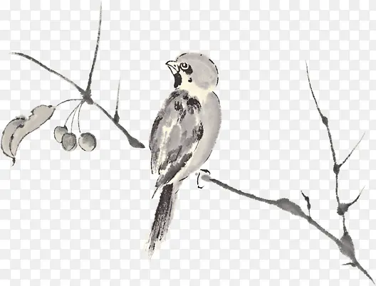 ˮī����֦��С������ز�-������