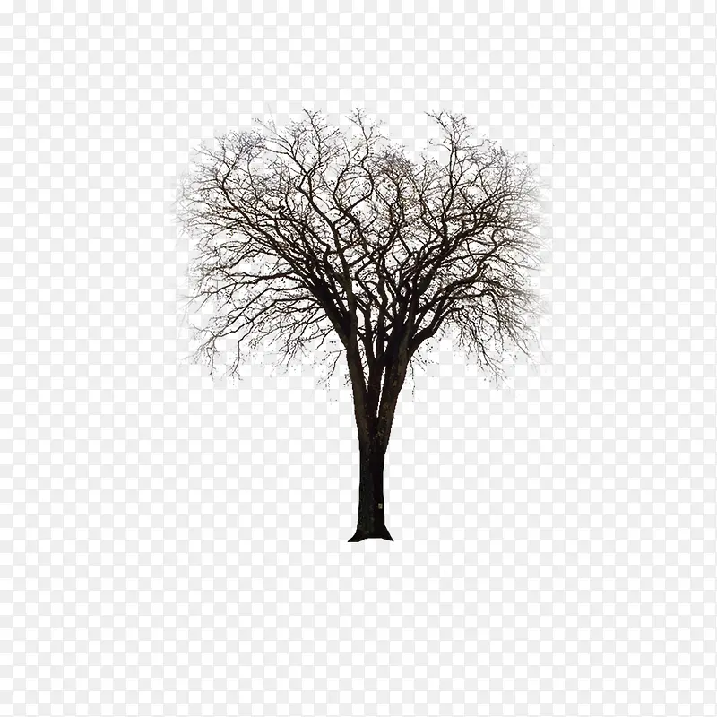 ��-������