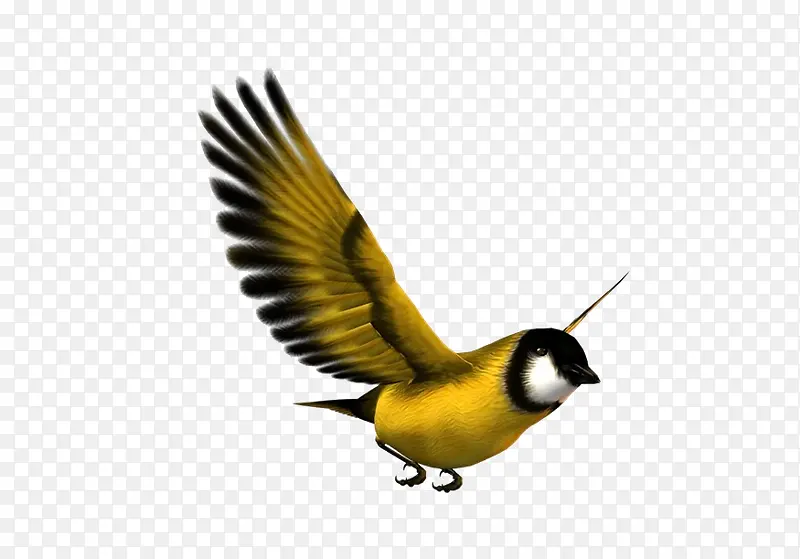 ���ŵ�С��-������