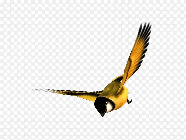 ���ŵ���-������