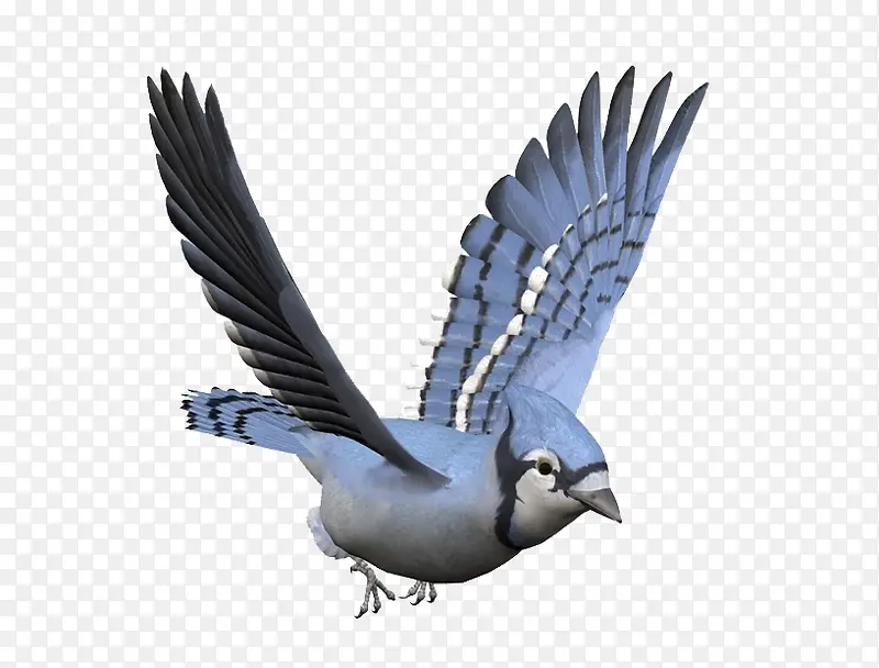 ���ŵ���-������